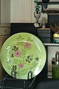 تجریه خرید بشقاب غذاخوری ایکیا مدل IDEELL مجموعه 6 عددی