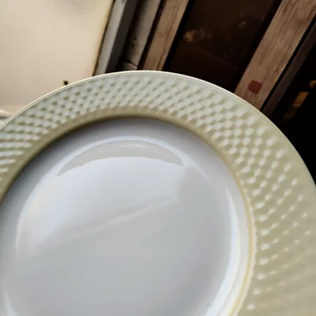 بشقاب چینی زرین ایران مدل رادیانس 25 آداجیو  درجه عالی بسته 6 عددی