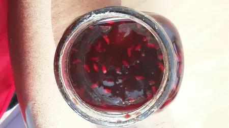 ترشک میوه های قرمز لیته - 480 گرم