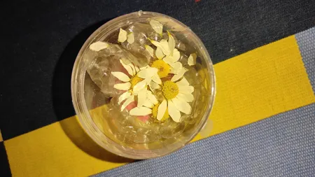 گل خشک مدل رزین اپوکسی بابونه مجموعه 4 عددی