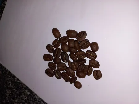 دانه قهوه کافی کریما طلایی قهوه ست - 250 گرم