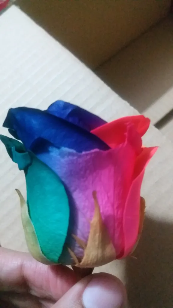 گل رز جاودان مدل 101