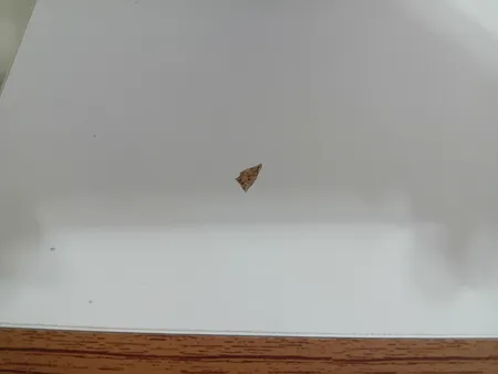 میز تحریر مدل MK200