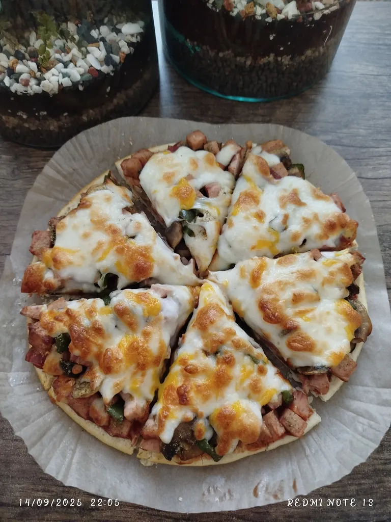 سرخ‌کن 9 لیتر گوسونیک مدل GAF-869