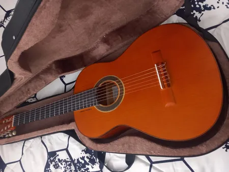 هارد کیس گیتار کلاسیک مدل black