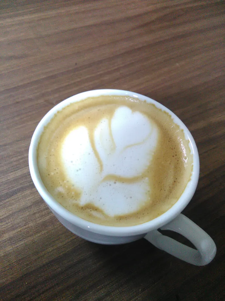 کف ساز شیر فومر مدل ZB 1508