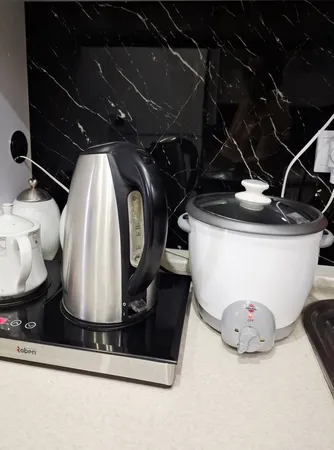 پلوپز 4 نفره پارس خزر مدل RC-101 Tyan