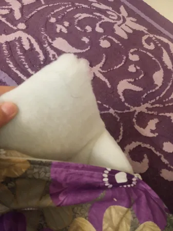 تشک مهمان سندس مدل مهتاب کد F19 سایز 190x90 سانتی متر