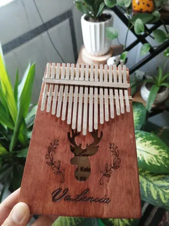 کالیمبا والنسیا مدل box