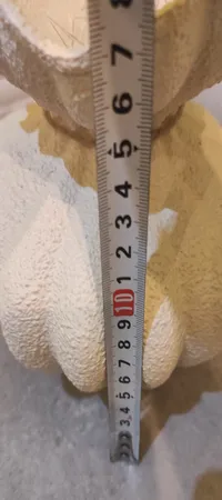 گلدان دکوری مدل مینیمال