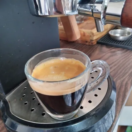 سبد قهوه مدل غیر تحت فشار سینگل سایز 51