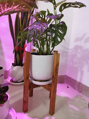 استند گلدان مدل AZ3 مجموعه 3 عددی