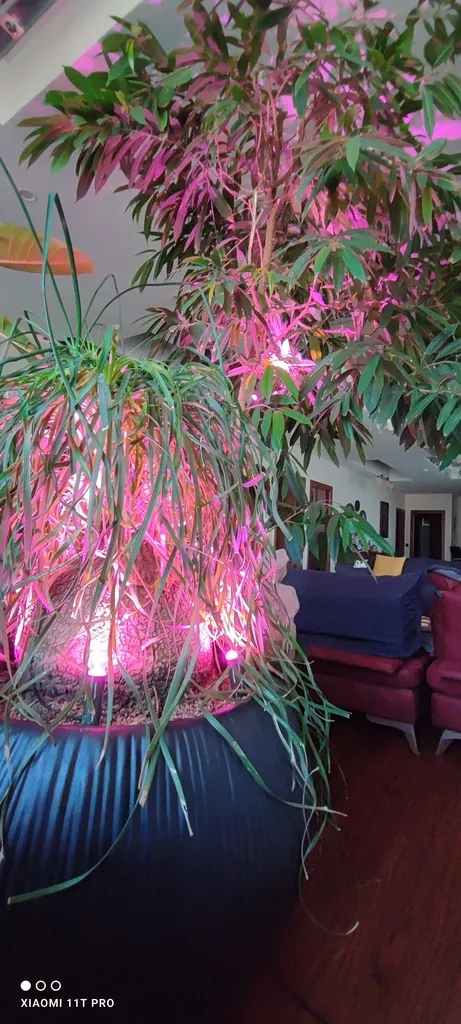 لامپ رشد گیاه 15 وات لایت ویژن مدل hp1-5w بسته سه عددی