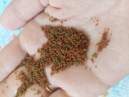 غذای ماهی آکوا مدل گوپی فیش وزن 100 گرم