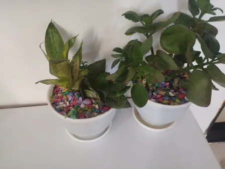 سنگ تزیینی مدل رنگی وزن ۷۵۰ گرم