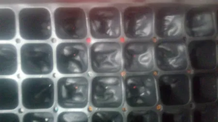 سینی نشا مدل A10 بسته 3 عددی