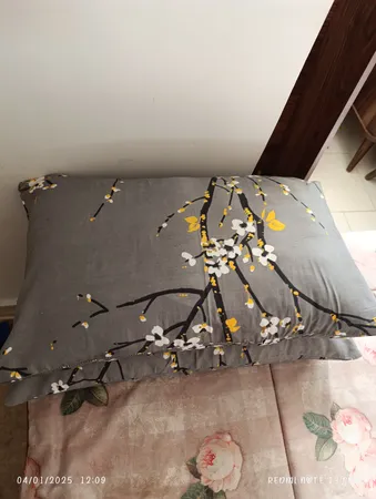 رو بالشی مدل نرمینه  کد 01 بسته دو عددی