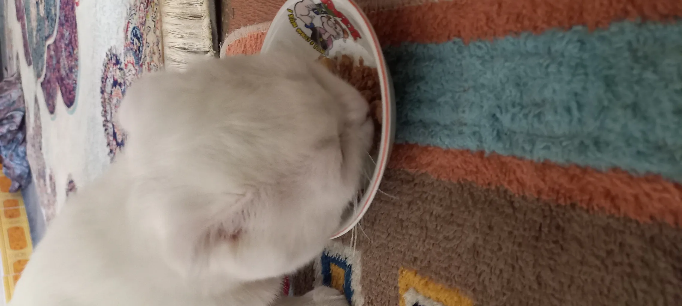 کنسرو گربه شایر مدل ماهی وزن 400 گرم