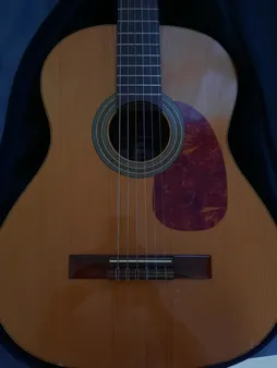 گلپیدور گیتار مدل R11