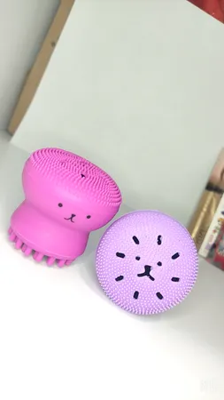 برس پاک‌سازی مدل B 0101