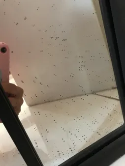 آینه مدل قدی فلزی طرح تاج پایه دار F-180