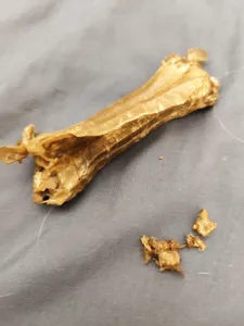 تجریه خرید تشویقی سگ طرح استخوان ژلاتینی مدل 10 cm وزن 150 گرم بسته 5 عددی