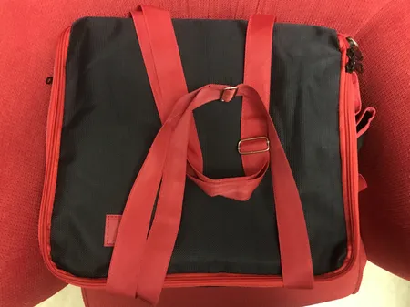 کیف پیک نیک دیمو مدل SPKDM50 به همراه ساک سفری