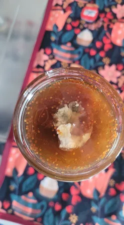 مربای انجیر همدست - 600 گرم