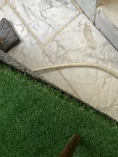 تجریه خرید چمن مصنوعی مدل نهال کد 15 سایز 1x2 متر