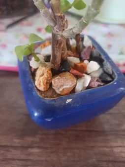 سنگ تزیینی مدل 5col وزن 2 کیلوگرم