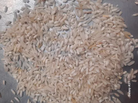 برنج ایرانی طارم فجر - 5 کیلوگرم