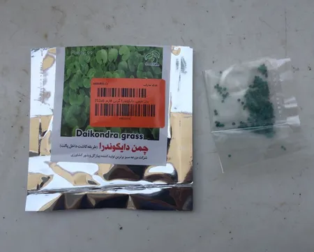 بذر چمن دایکوندرا گرین فارم کد012