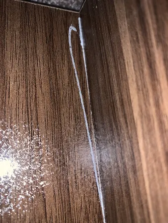 کتابخانه رومیزی مدل کاکتوس