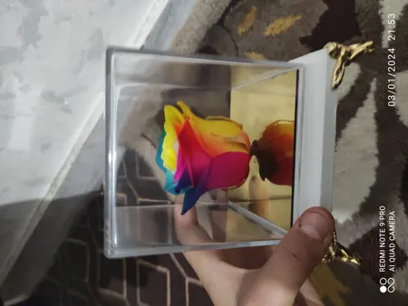 گل رز جاودان مدل 101