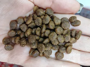 تجریه خرید غذای خشک گربه مدل prosa وزن 1 کیلوگرم