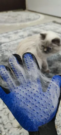 دستکش پرزگیر سگ و گربه کد 5Finger-B