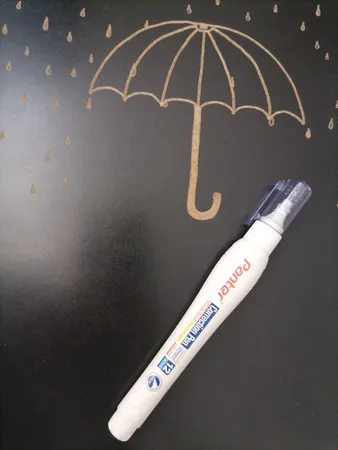 غلط گیر قلمی پنتر مدل CP102