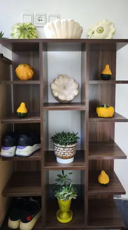 جاکفشی مدل BJ4