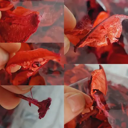 گل خشک مدل معطر وزن 100 گرم