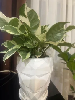 گلدان مدل دکوسیتی dco45