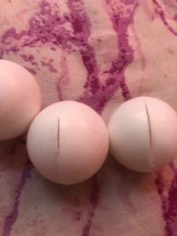 توپ پینگ پنگ بوسایت مدل B6 بسته 6 عددی