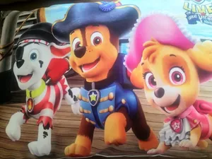 تجریه خرید روبالشی کودک طرح سگهای نگهبان مدل rob301