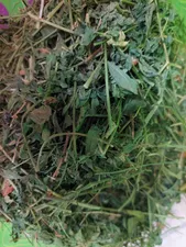 تجریه خرید یونجه جوندگان مدل نوین وزن 1000 گرم