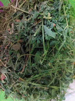 یونجه جوندگان مدل نوین وزن 1000 گرم