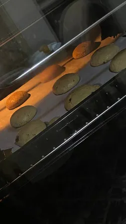 فر توکار اخوان مدل F42