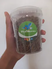 تجریه خرید تشویقی عروس هلندی شهرپت مدل Mealworm وزن 100 گرم
