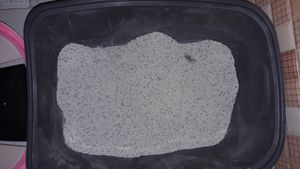 خاک بستر گربه میوکت مدل Carbon Activated Granule وزن ۱۰ کیلو گرم