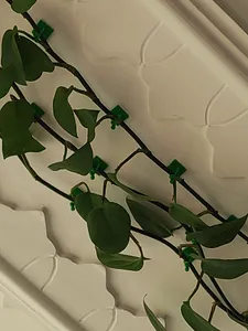 تجریه خرید گیره مدل پتوس کد n33 بسته 20 عددی