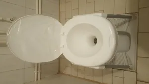 تجریه خرید توالت فرنگی ناصر پلاستیک مدل MD1450