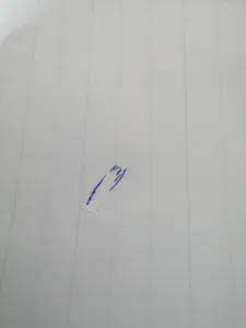 تجریه خرید غلط گیر نواری کریتورز کلاس مدل Bloomy